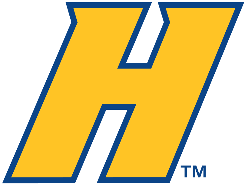 Hofstra Pride 2005-Pres Alternate Logo v2 iron on transfers for fabric